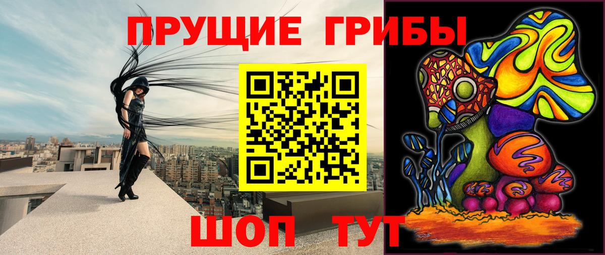 Псилоцибиновые грибы Psilocybe Иваново