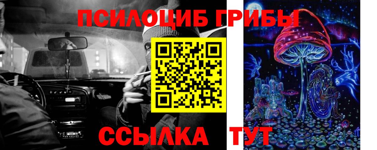Иваново  Галлюциногенные грибы мухоморы  купить наркотик  Вход с VPN 